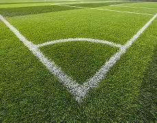 荷兰队史新,篇章,范戴克队长,爱游戏体育,爱游戏体育app,爱游戏体育官网,爱游戏体育下载,爱游戏体育入口