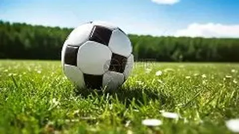 巅峰对决！王楚钦镇守关键半区，王曼昱孙颖莎争霸上下战场，混双强档齐聚同组激战！