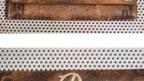 勒诺尔芒荷兰战次回合出战或有悬念？